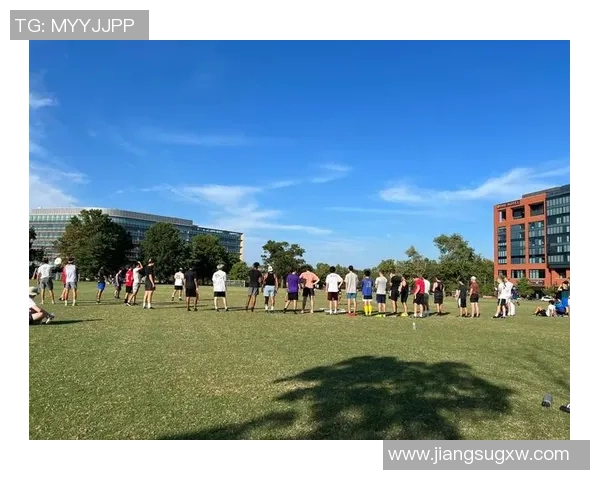 从零起步掌握飞盘技巧与战术的全面指南与实战经验分享